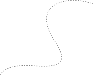 vector line